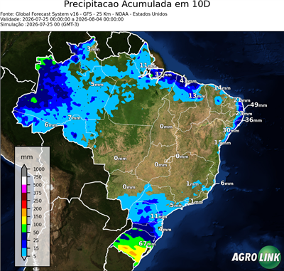 10 dias