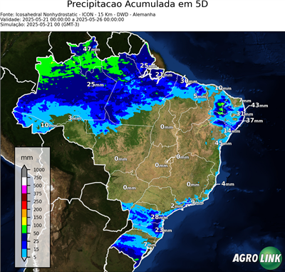 5 dias