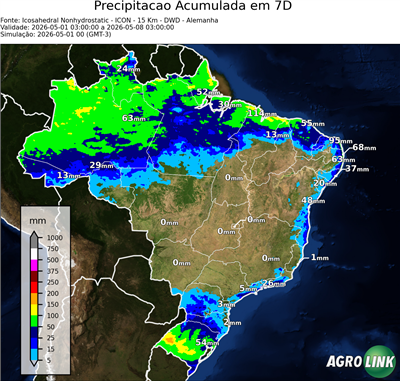 7 dias