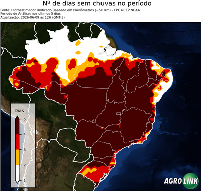 5 dias