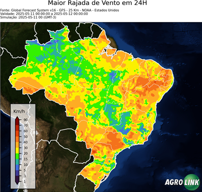 24 horas