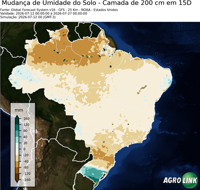 15 dias