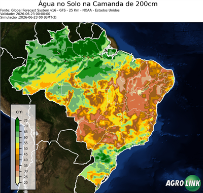 24 horas