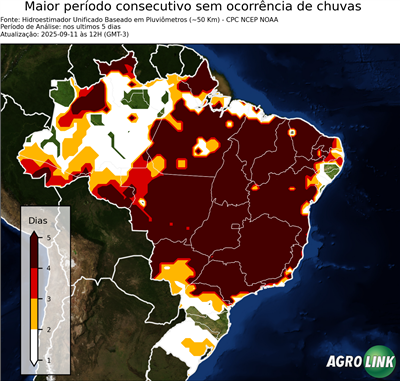 5 dias