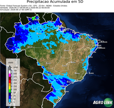 5 dias