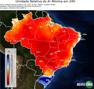 24 horas