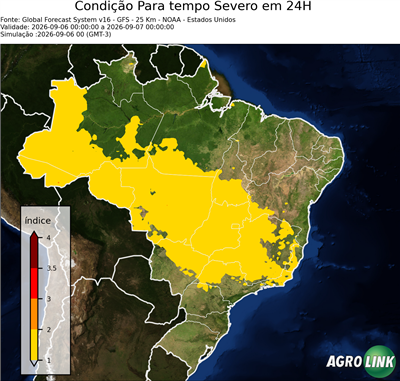 24 horas