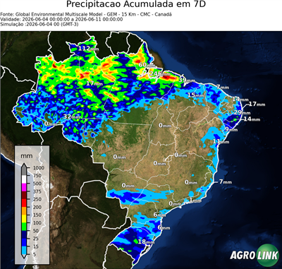 7 dias