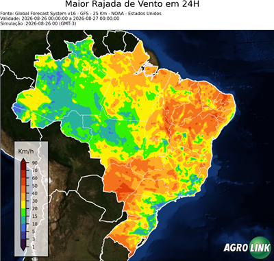 24 horas