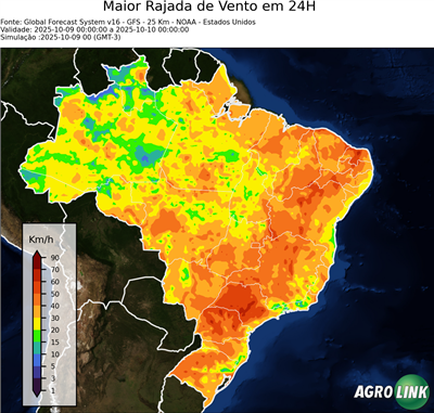 24 horas