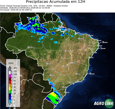 12 horas