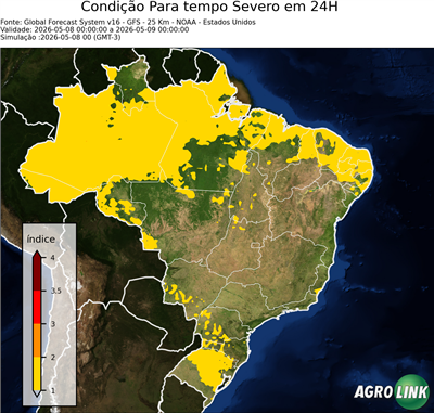 24 horas