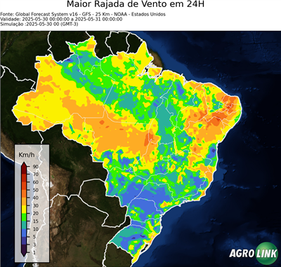 24 horas