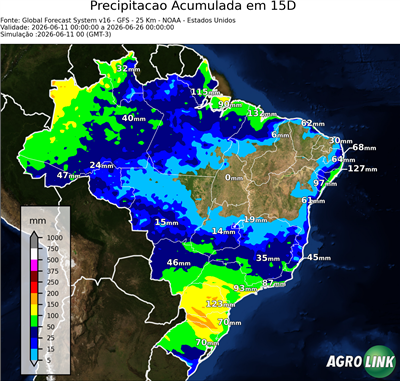 15 dias