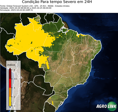 24 horas