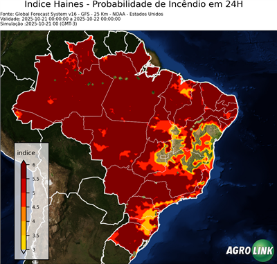 24 horas