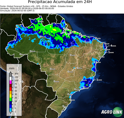24 horas