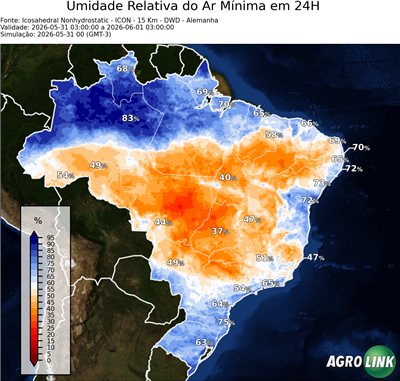 24 horas