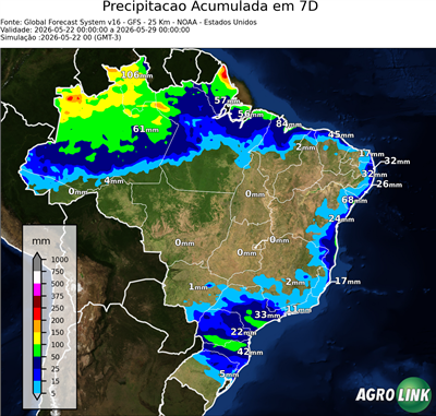7 dias