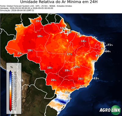 24 horas