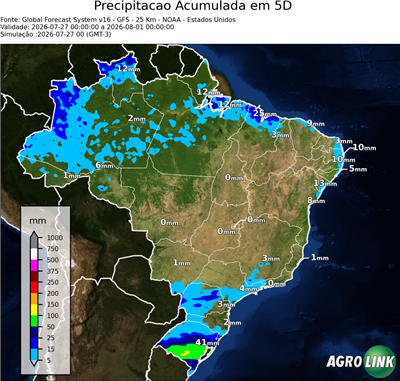 5 dias