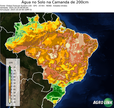 24 horas