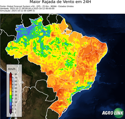 24 horas