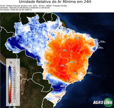 24 horas