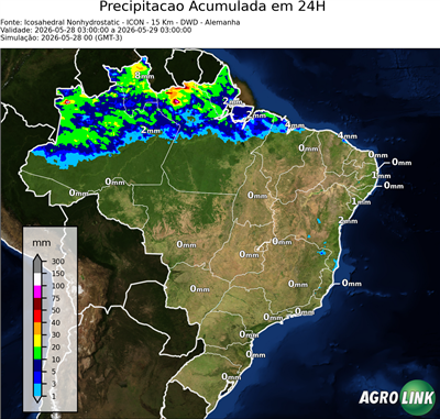 24 horas