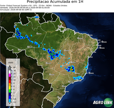 1 hora