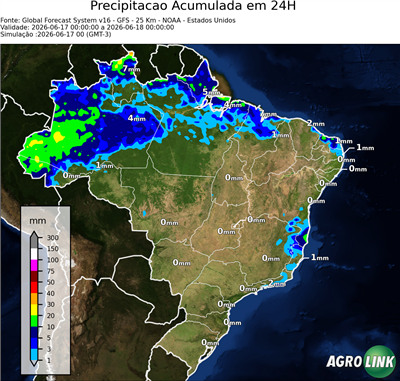 24 horas
