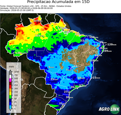15 dias