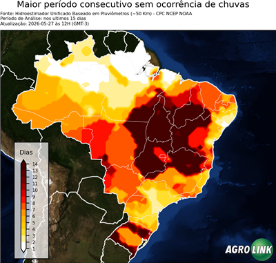 15 dias