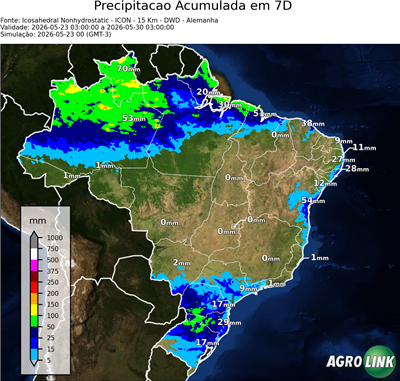 7 dias