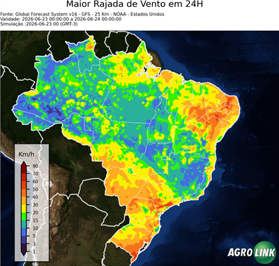 24 horas