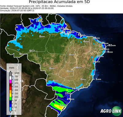 5 dias