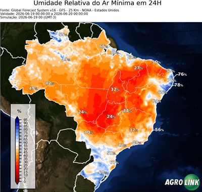 24 horas