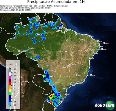 1 hora
