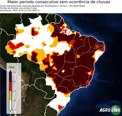 5 dias