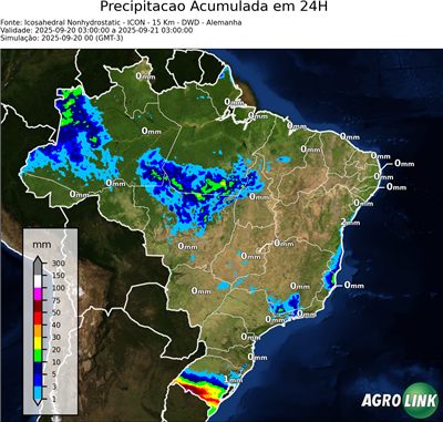 24 horas