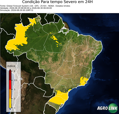 24 horas