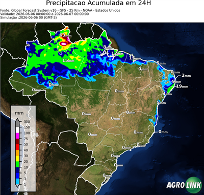24 horas