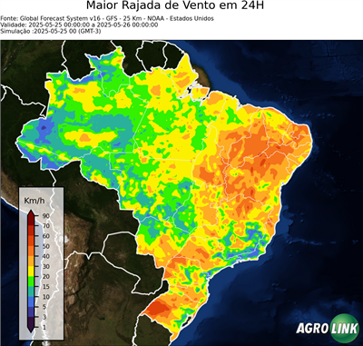 24 horas