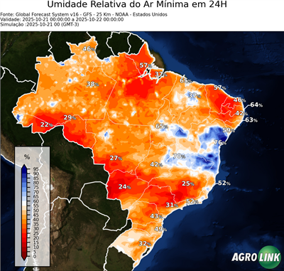 24 horas