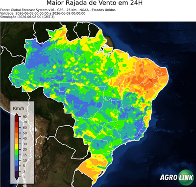 24 horas