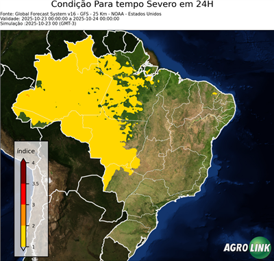 24 horas