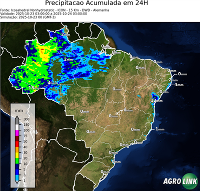 24 horas