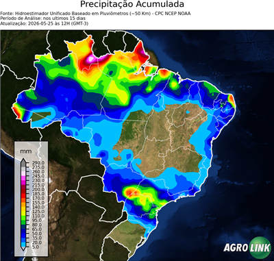 15 dias