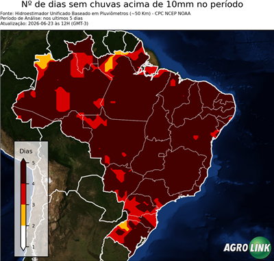 5 dias