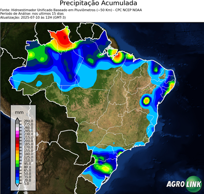15 dias